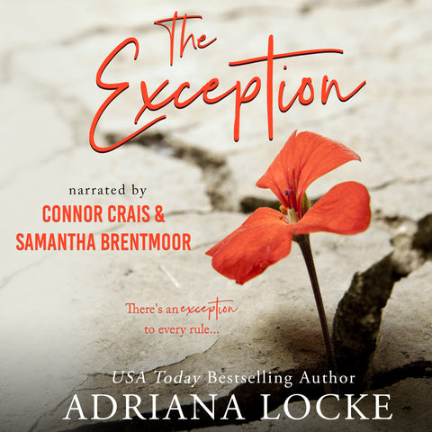 The Exception Audiobook