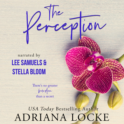 The Perception Audiobook